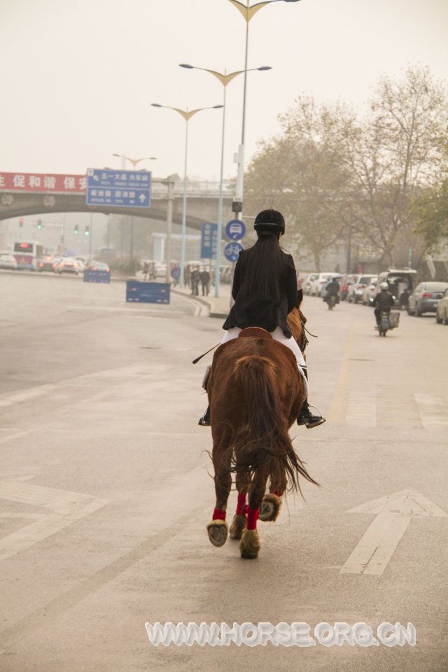 飚向五一路