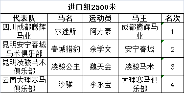 06进口2500.png