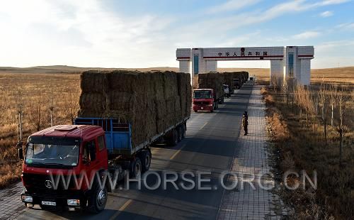 11月11日下午，满载牧草的卡车正缓缓自珠恩嘎达布其口岸驶入（图片来源：新华社）.jpg.jpg