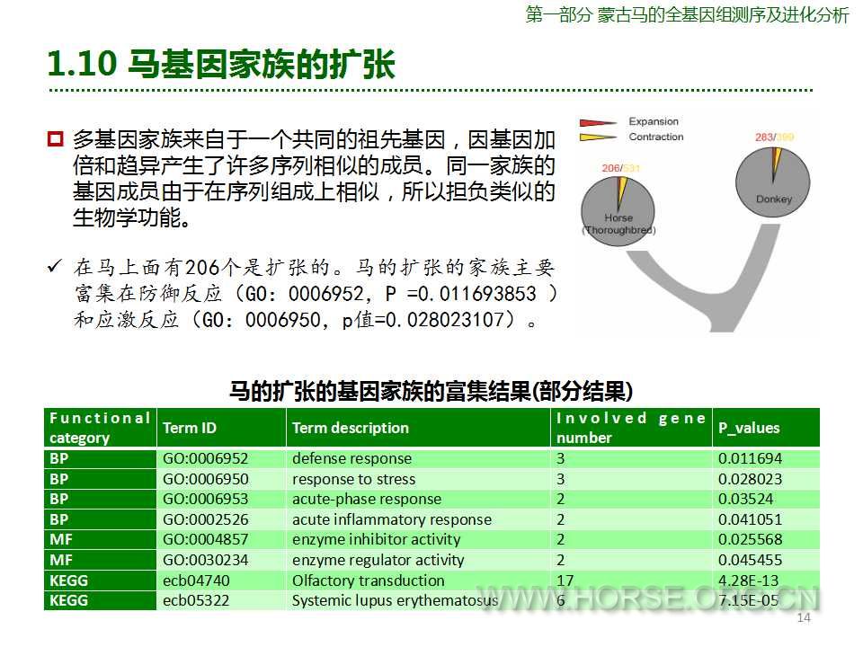 幻灯片14.jpg