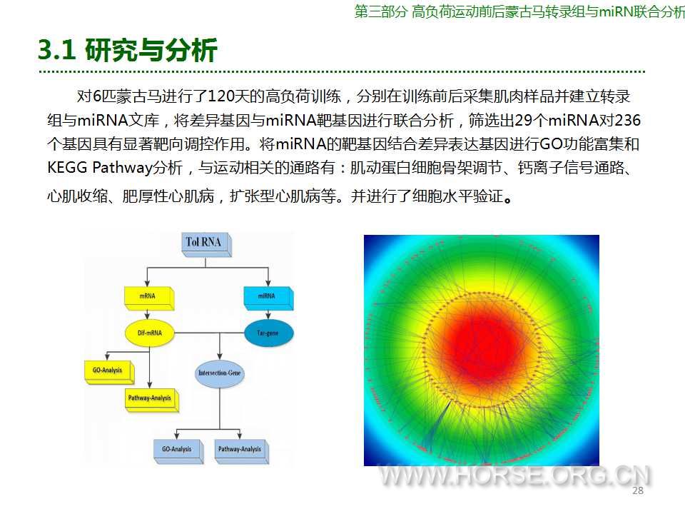 幻灯片28.jpg