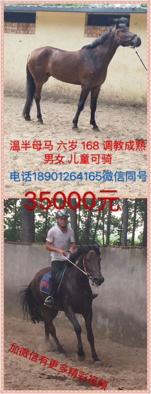 QQ图片20160817182656.jpg