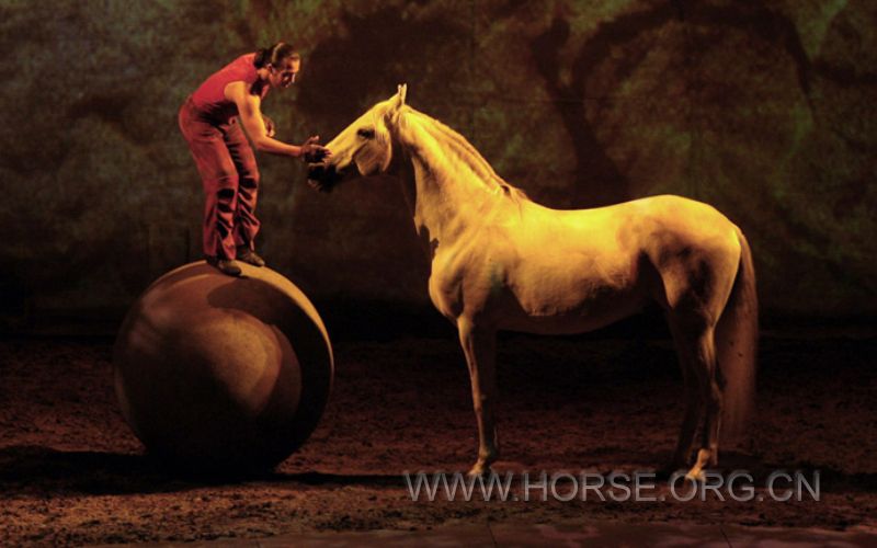 cavalia-ball-horse.jpg