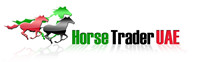 Horse Trader UAE.jpg
