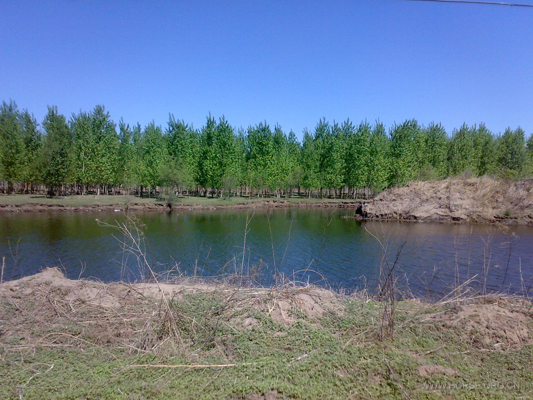 20110515579.jpg