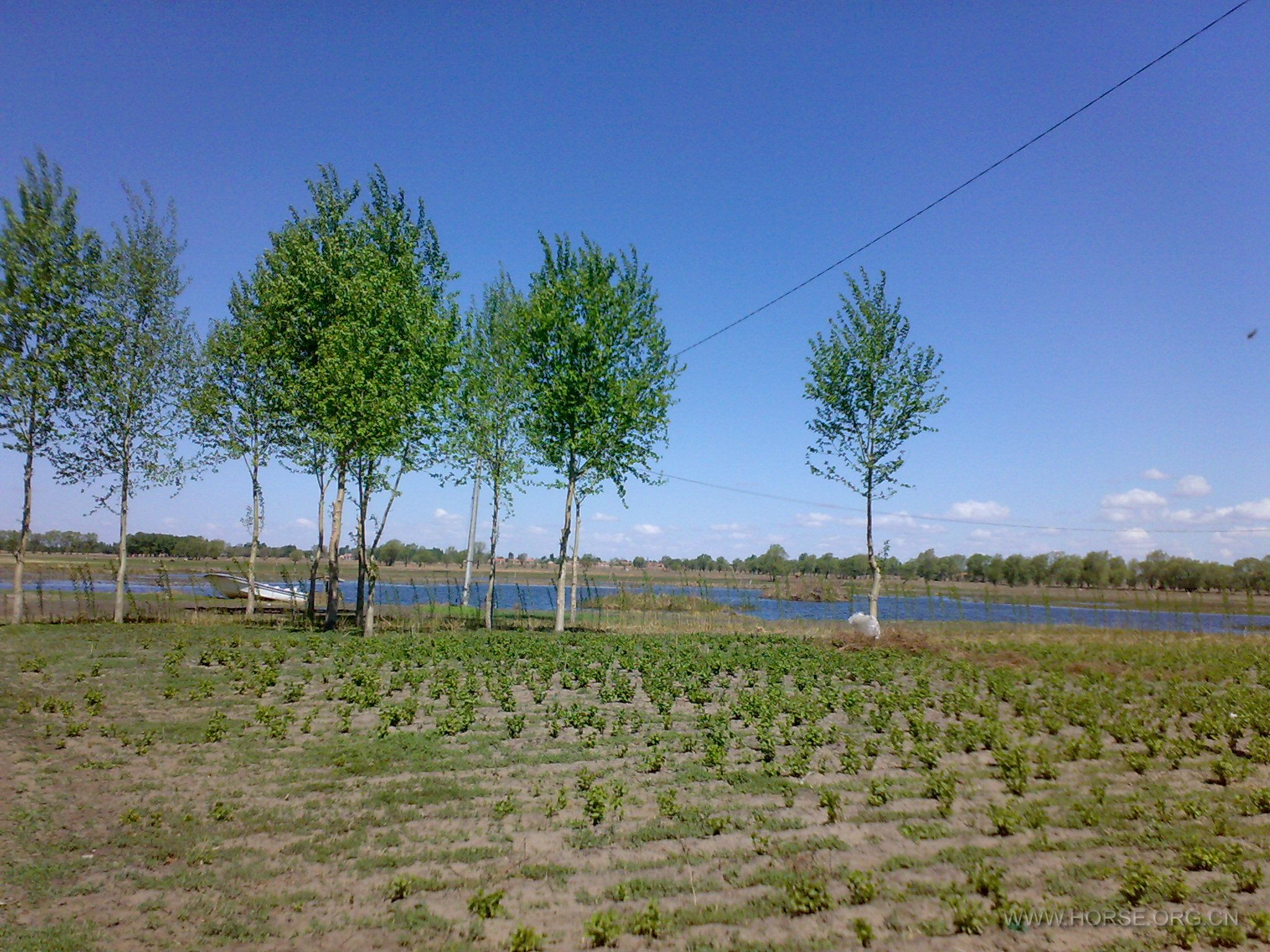 20110515581.jpg