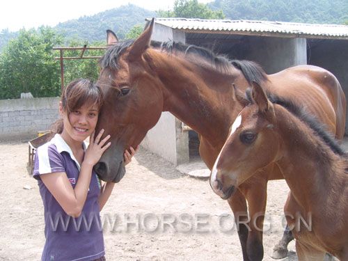 Isa & horses.jpg
