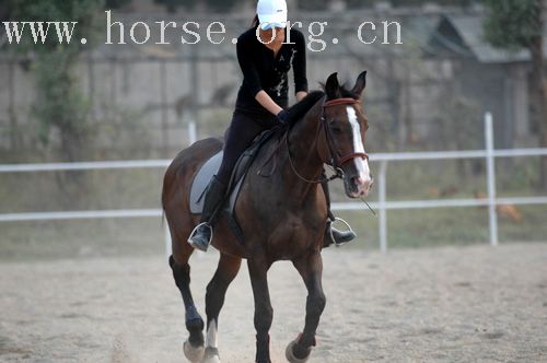 金秋首界杭州马友友谊赛 马友大狂欢----参赛美女,帅哥小照