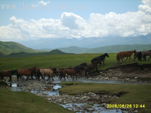 [原创]8月中旬远征新疆阿尔泰山 喀纳斯湖行动计划