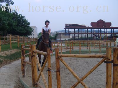 欢迎各位马友到四川阳光马术俱乐部来骑马噢!