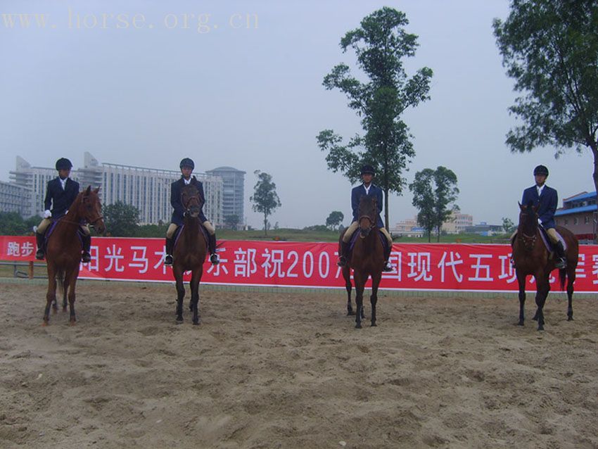 欢迎各位马友到四川阳光马术俱乐部来骑马噢!
