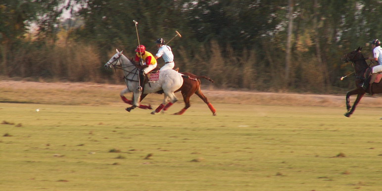 在泰國馬球俱樂部打馬球_THAI POLO CLUB