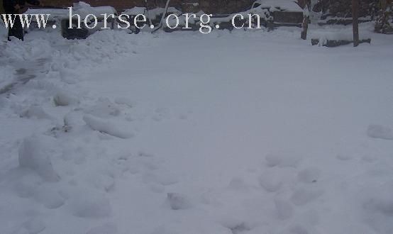 07年的第一场雪！~