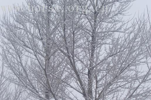 07年的第一场雪！~