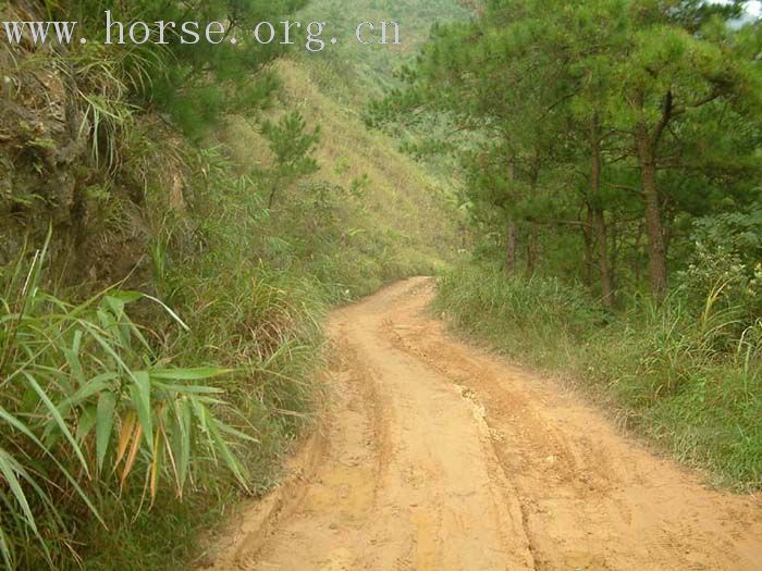 [推荐] 国庆三大马场联合行动——骑马穿越南山中