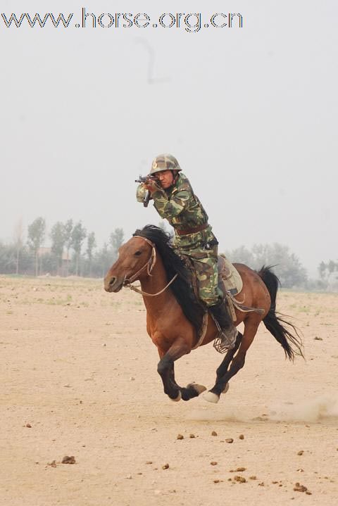 难忘的中国骑兵