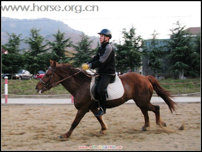 照片招领：081130在凤凰骑马的美女和帅哥