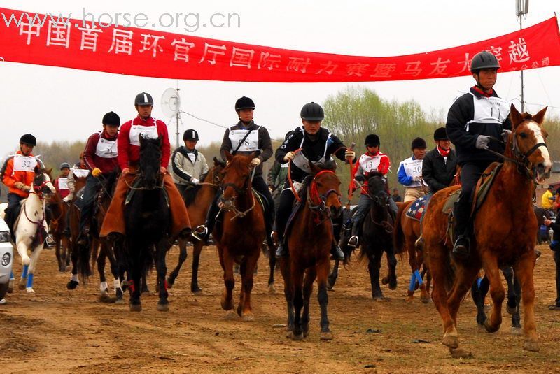 热烈庆祝津门骠骑军西部偏北队夺得全国首届耐力赛亚军