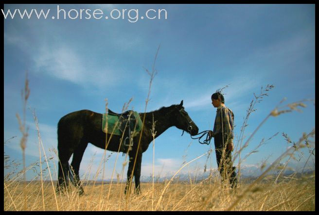 （4月4日、5日、6日）骑马畅游 赏天上/纵马驰骋在无际的草原上