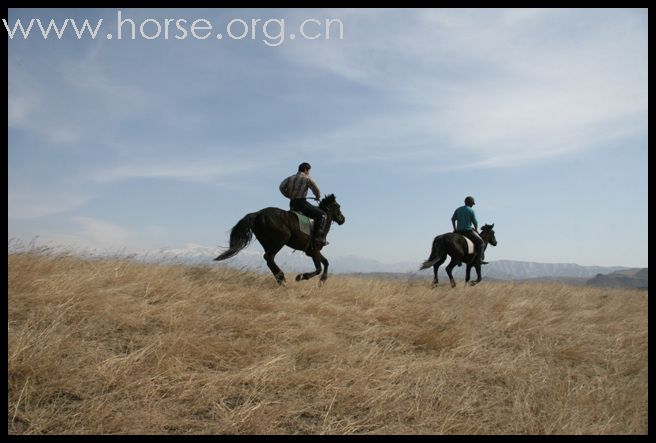 （4月4日、5日、6日）骑马畅游 赏天上/纵马驰骋在无际的草原上