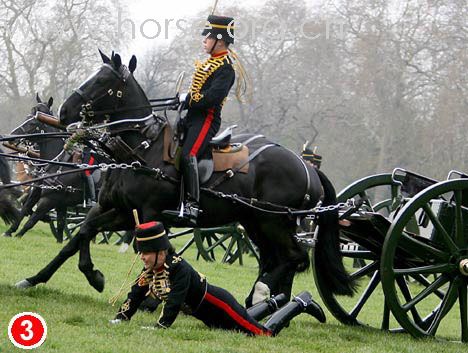 英女王过82岁生日 女骑兵庆典上摔下马(组图)