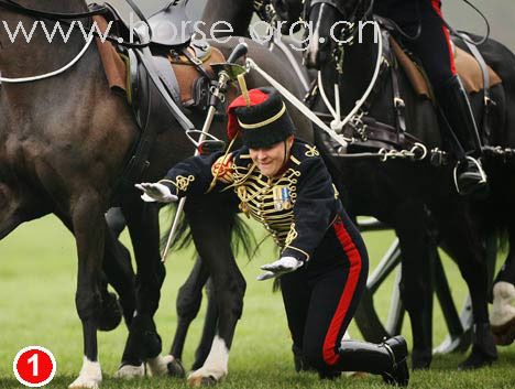 英女王过82岁生日 女骑兵庆典上摔下马(组图)