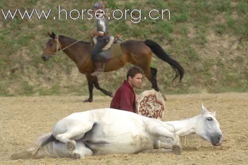 观摩国际骑射大会，骑汗血马旅行，体验匈奴遗风