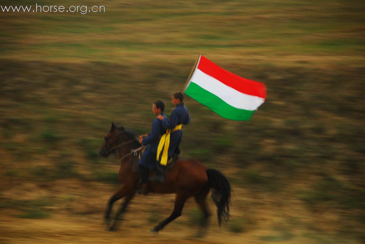 观摩匈牙利世界骑射大会