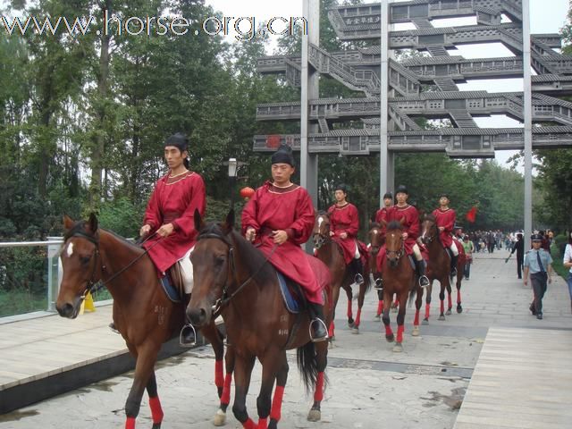 马球运动初体验！