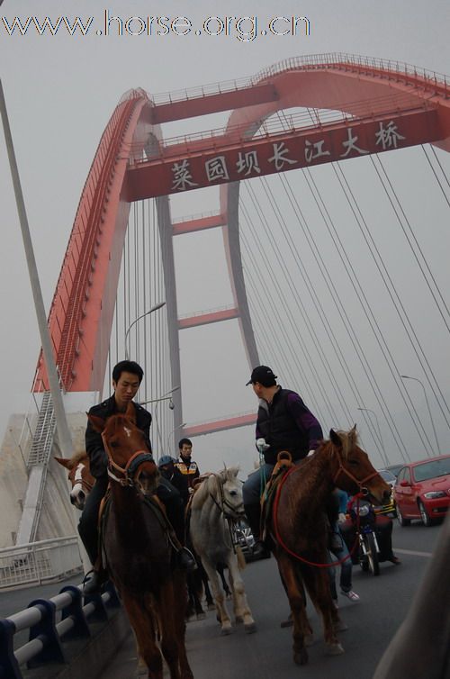 重庆马友，骑马游街辞旧迎新，过新年！