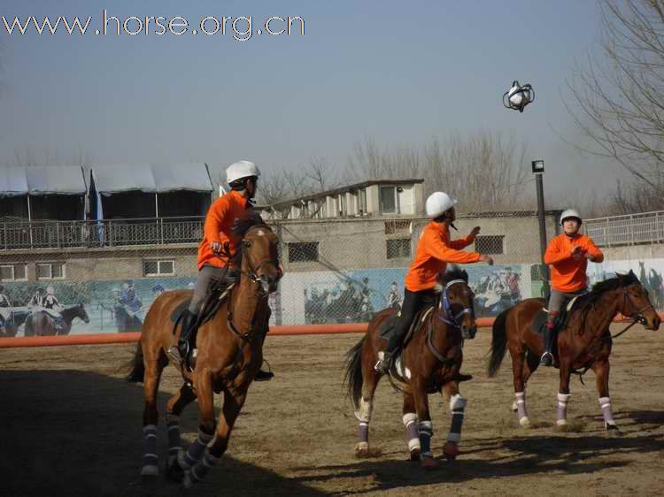 为拿到2010年国际马联(FEI)世界马术运动会国际马篮球比赛的参赛资格马篮球队员即日起加紧比赛训