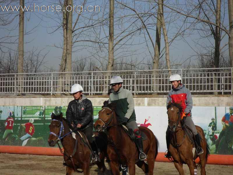 为拿到2010年国际马联(FEI)世界马术运动会国际马篮球比赛的参赛资格马篮球队员即日起加紧比赛训