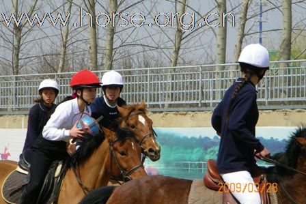 2009第一季业余女子马篮球"口水杯"花落谁家