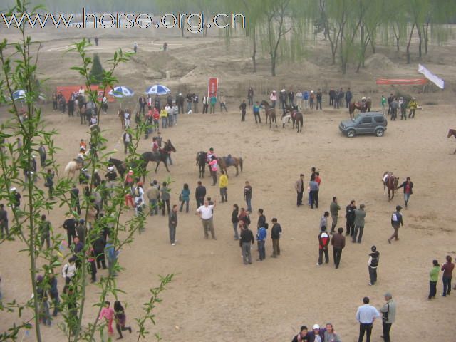 直播－2009中国北京永定河谷马术耐力冠军赛