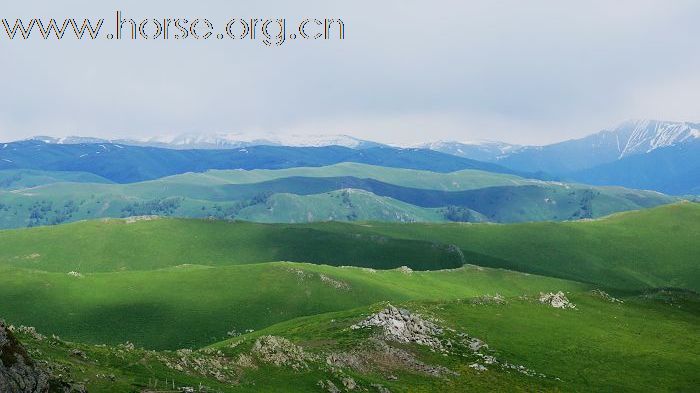 本版第一贴，占个坑，应应景 