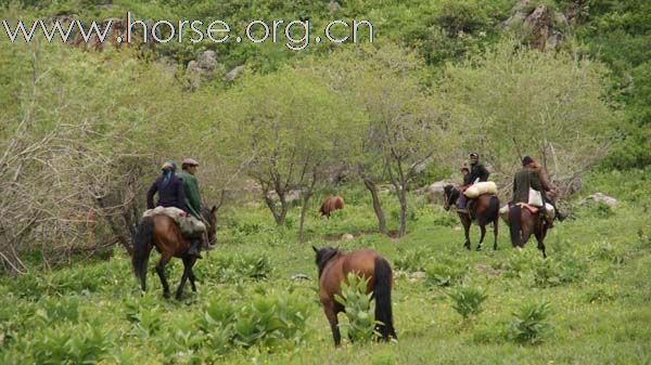 骑马穿越喀纳斯，我眼中的魔力圣地新疆...