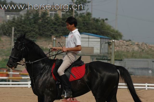 青岛凤凰马术俱乐部总教练梁勇风采