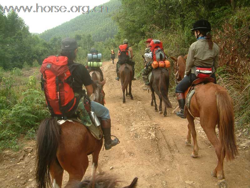 [公告]国庆暨中秋乘风寨骑马赏月大王滩活动