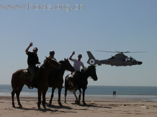 [原创]金沙滩、骏马、直升机