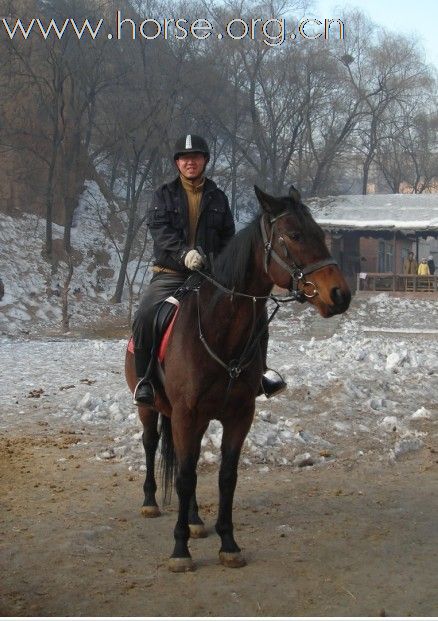 2010年元旦骑马活动纪实