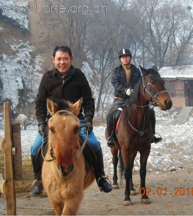 2010年元旦骑马活动纪实