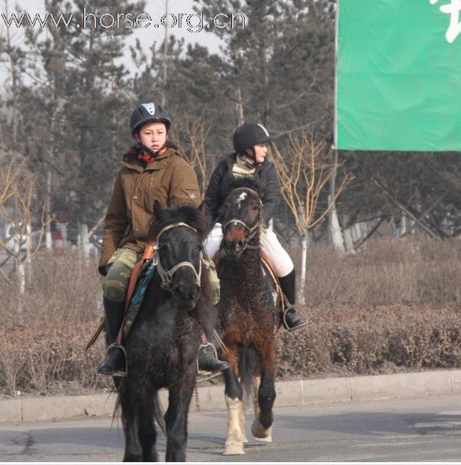 2010年元旦骑马活动纪实(续)