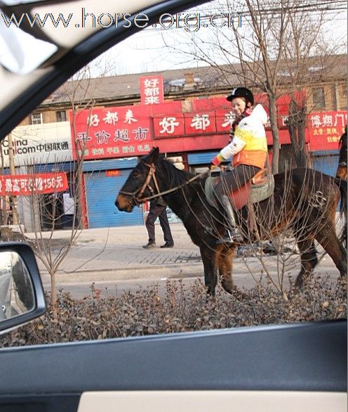 2010年元旦骑马活动纪实(续)