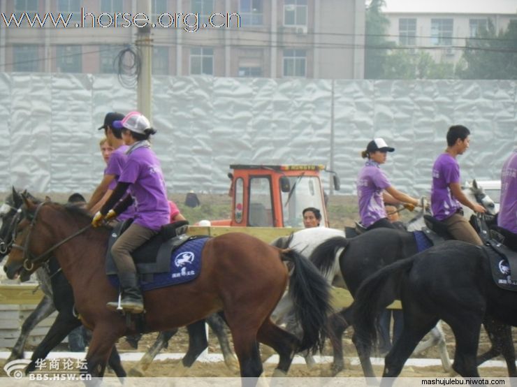 西安汉唐马文化传播公司---西安马术俱乐部为大明宫开园紧张训练中