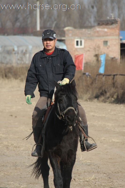 进贤庄园骞马联谊会颁奖仪式