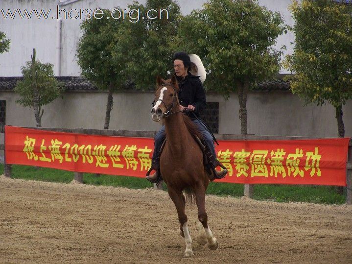 上海2010迎世博-南北马术邀请赛--照片集锦