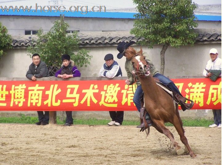 上海2010迎世博-南北马术邀请赛--照片集锦