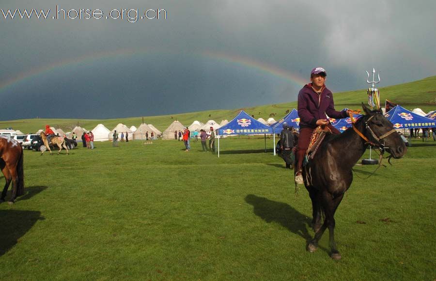 2010巴音布鲁克环天鹅湖耐力赛精彩图片—报到验马抽签和场地准备