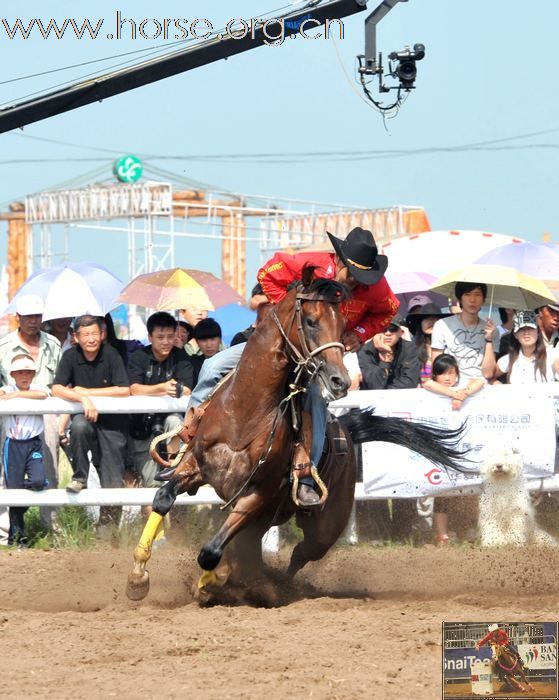 2010年2SC绕桶、越野赛图片报道