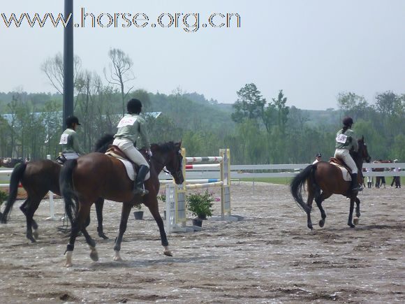 2010全国五项马术锦标赛暨青年组赛